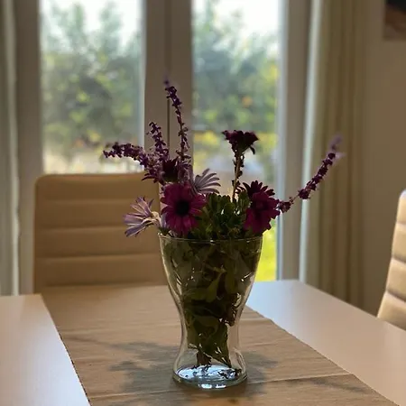 Almasalo Apartament
