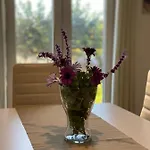 Almasalo Apartment